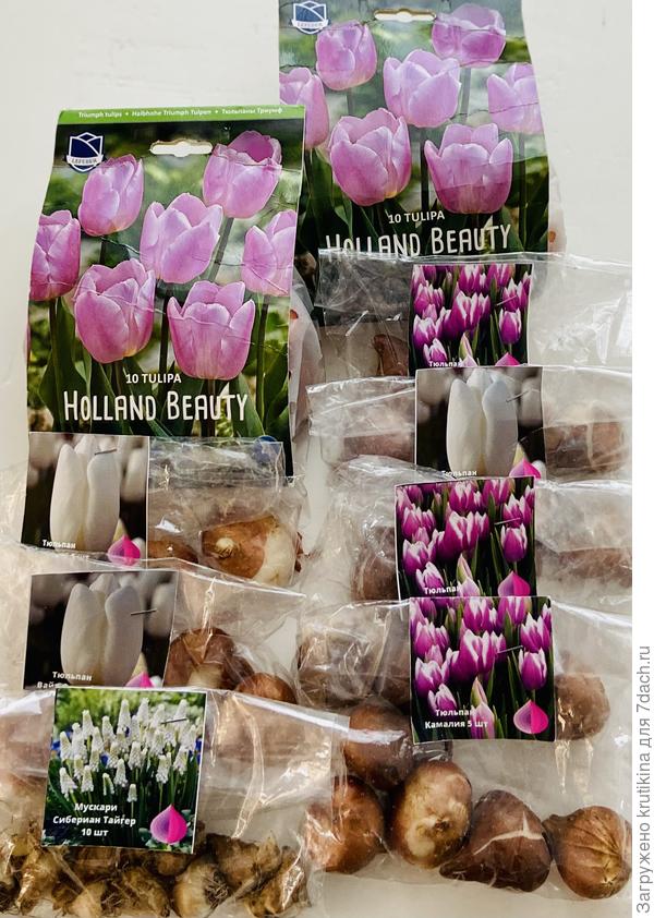 Весной увижу