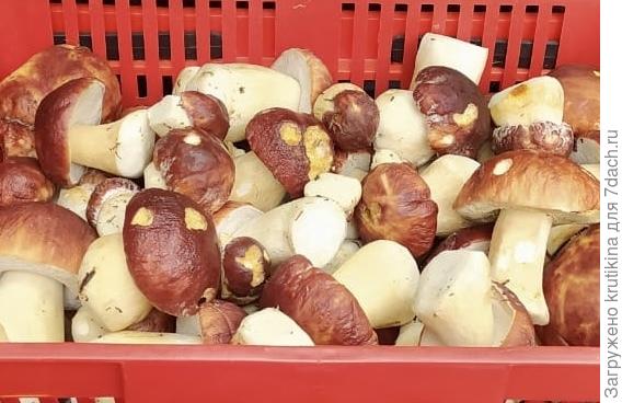 В ящичке до дома 🤗