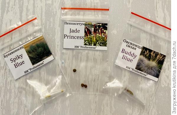 Второгодники 🙂, злаковая троица .