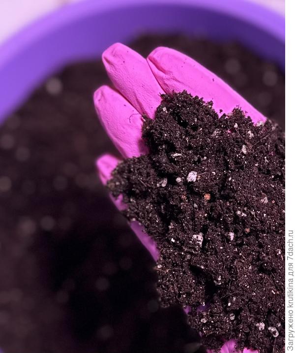 Для рассады ,то, что надо !