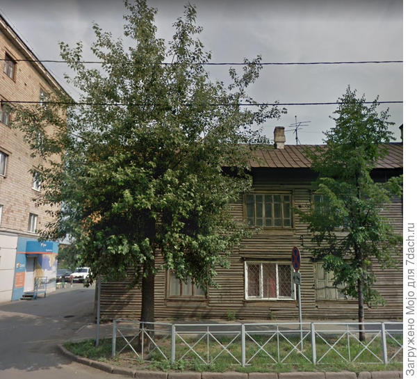 2 дерева лето