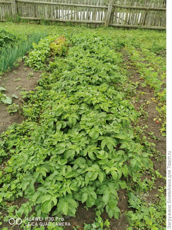 На пораньше