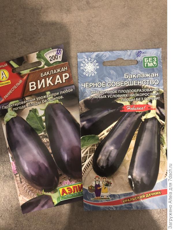 Очень хочется обычных маленьких чёрных баклажан