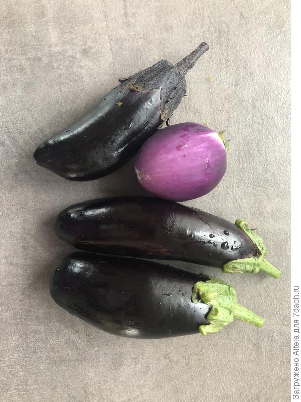 Викар, Король севера и Кабанчик.