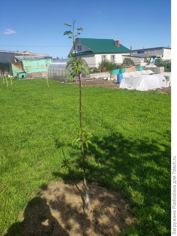 Как щас стало