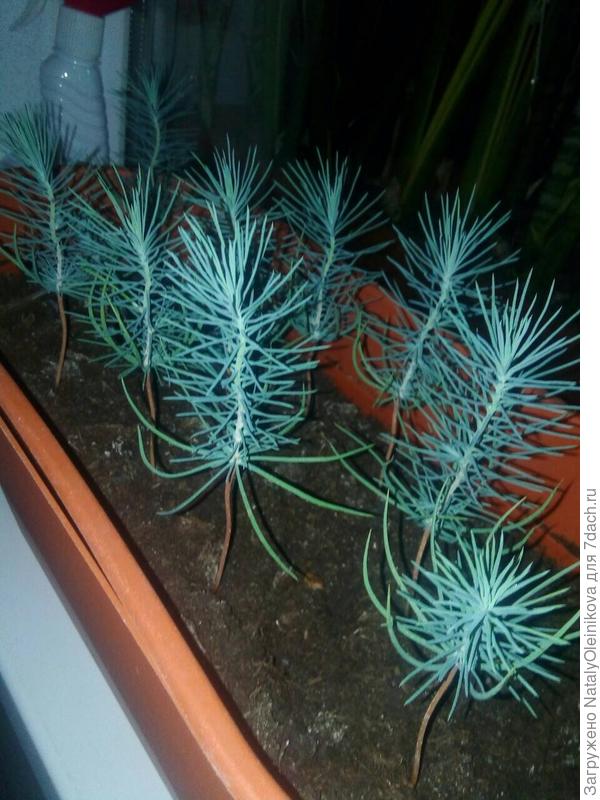 22 августа 2019 г.