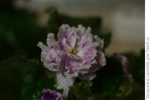 Вооружившись маленьким кольцом мы получаем приближение объекта, не сильно заметное