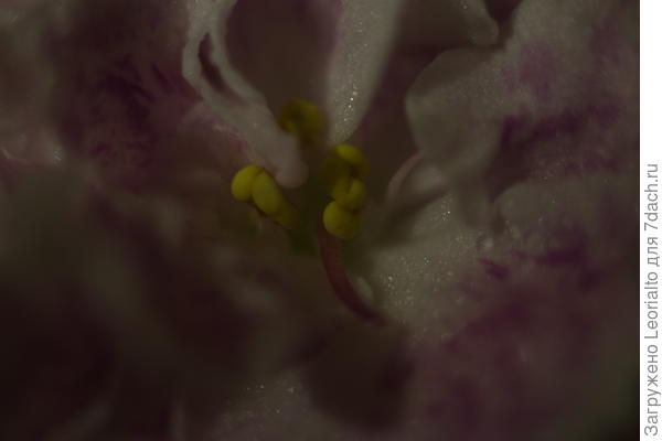 Все три кольцо в сборке.