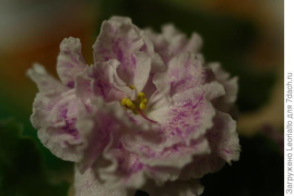 Здесь мы орудуем вторым кольцом - эффект приближения заметней.