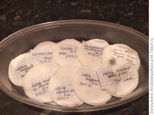 Проращивание