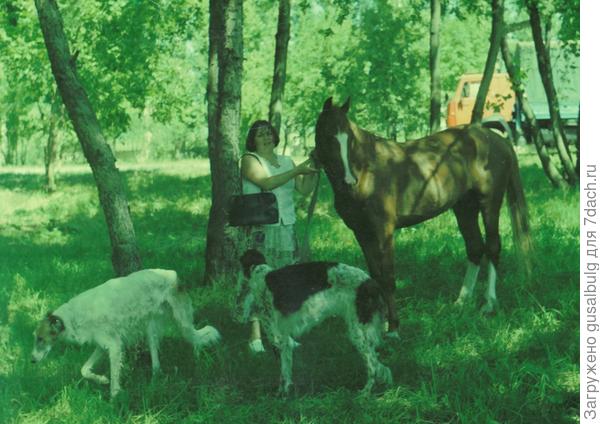 Супружница - правая моя рука...