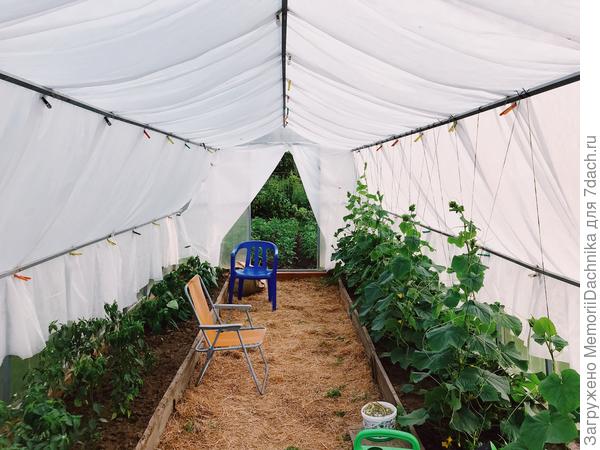 Тепличка начинающего огородника и садовода))