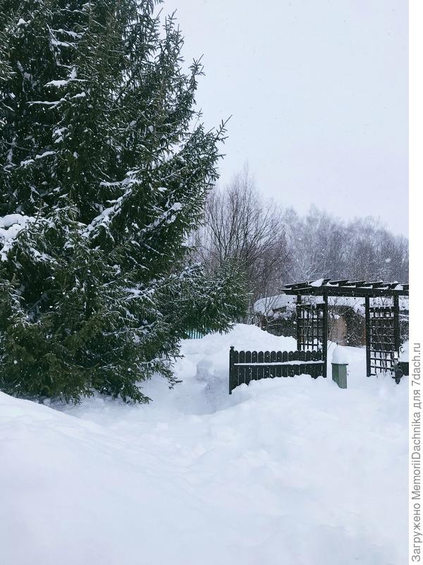 Новый год на даче