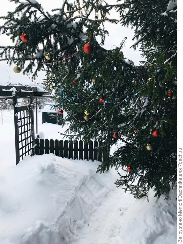 Новый год на даче