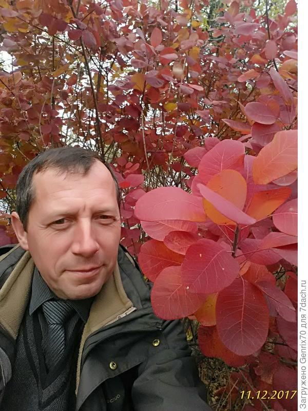 декабрь 2017 год