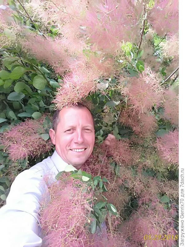 май 2018 год цветы очень крупные.