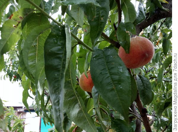 спрятались от дождя