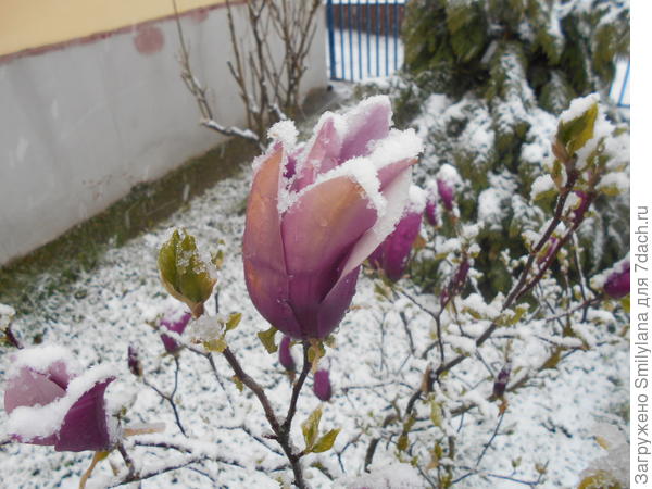 А бывает и так!