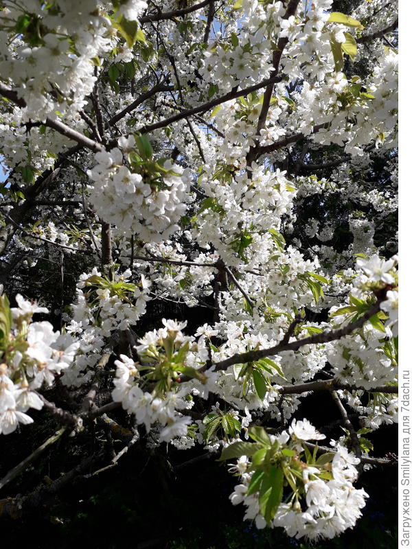 Весна тоже придёт, обязательно