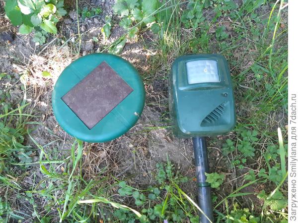 Ультразвуковые отпугиватели настроены и установлены: ни кошки, ни кроты к нам в сад не пройдут!