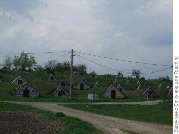 Это частные винные подвальчики