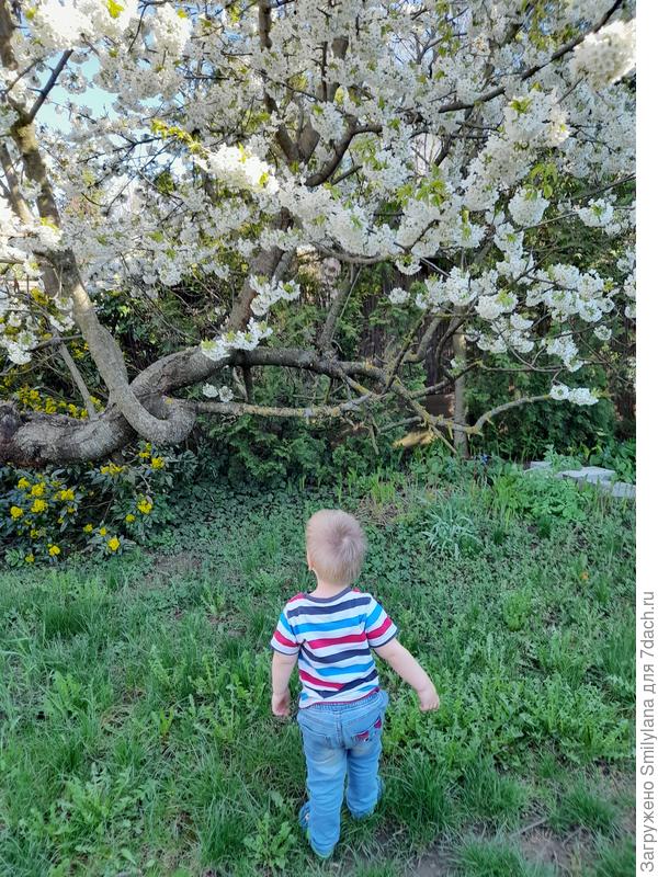 Мой главный младшенький цветочек :)