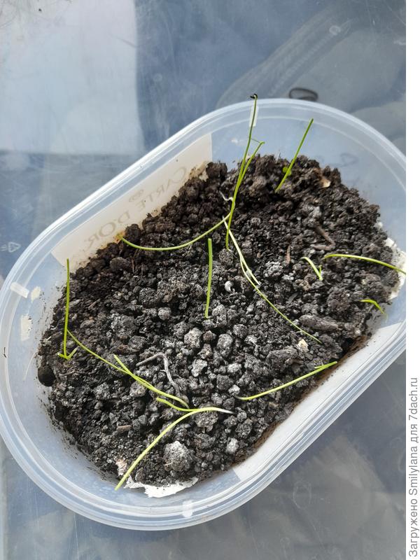 Сегодняшнее