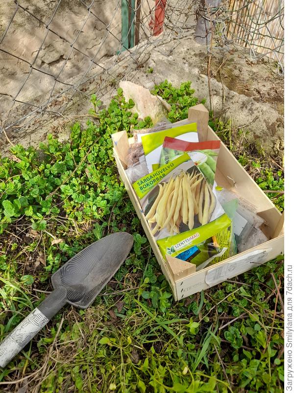 Но что-то она долго сидит