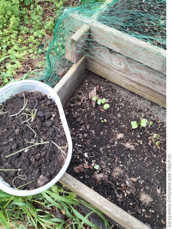 Задохлики переехали