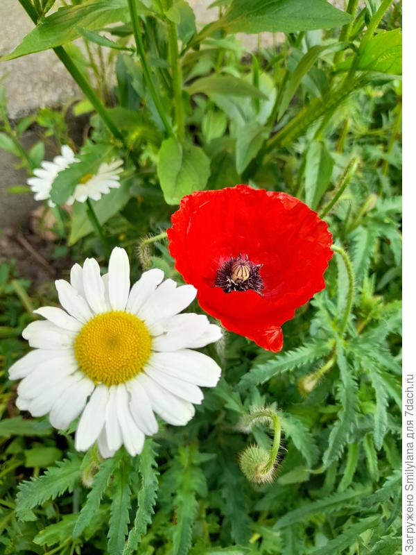 Вот такое вот соседство ещё