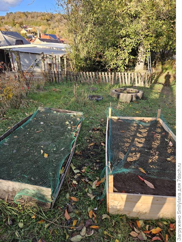 Две из моих высоких грядок, сетка для защиты от кошек