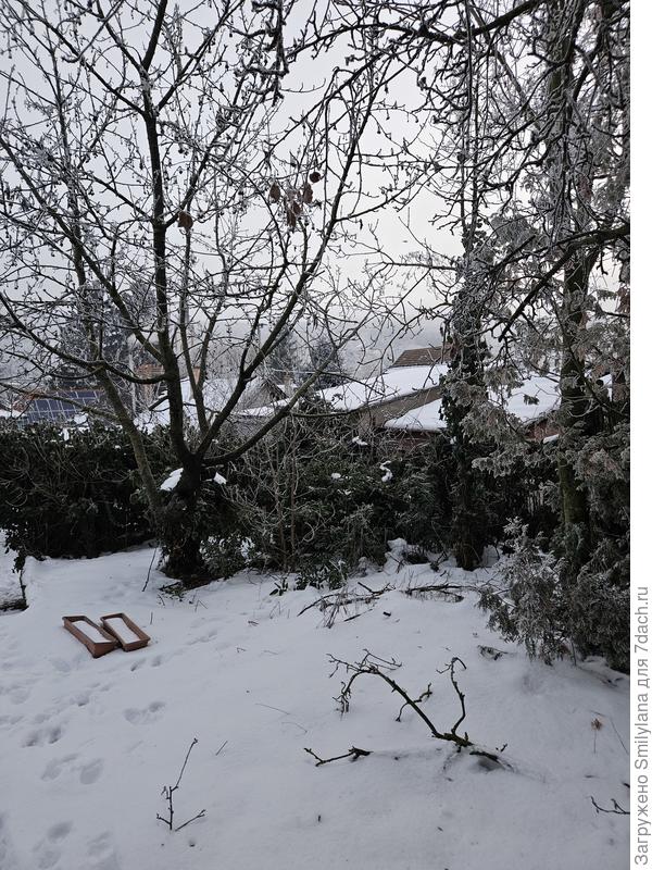 А это в нижней части сада