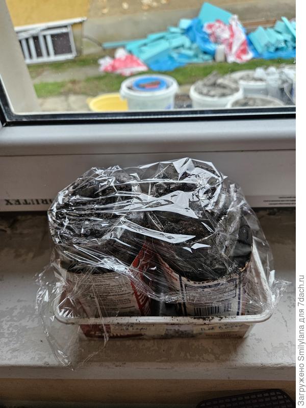 Улитки с луком