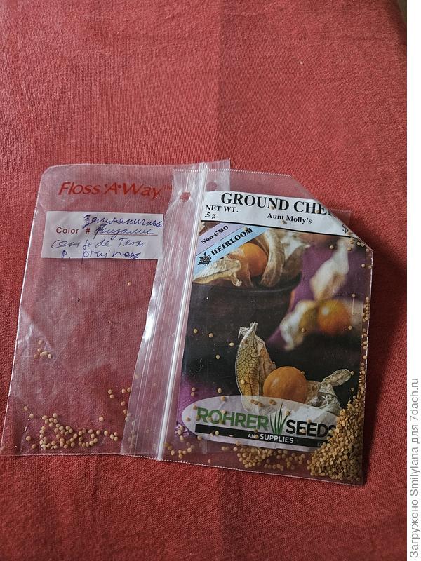 Семена готовы, но сажать пока подожду