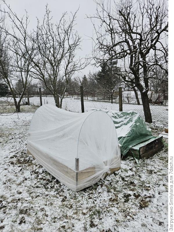 Опять снежок