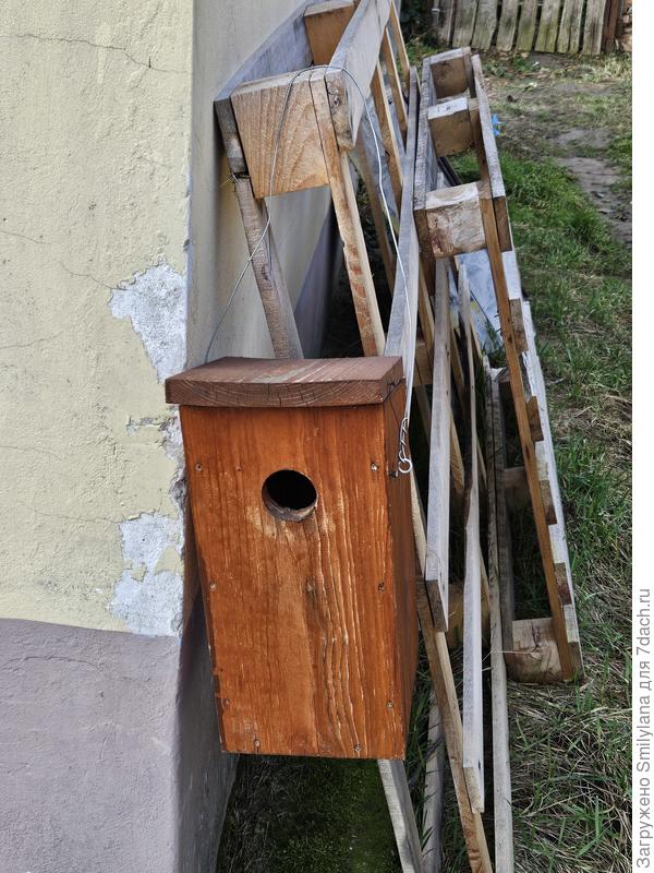 Домик, где живут поползни. После зимне чистки и уборки завтра он отправится на вершину дерева.