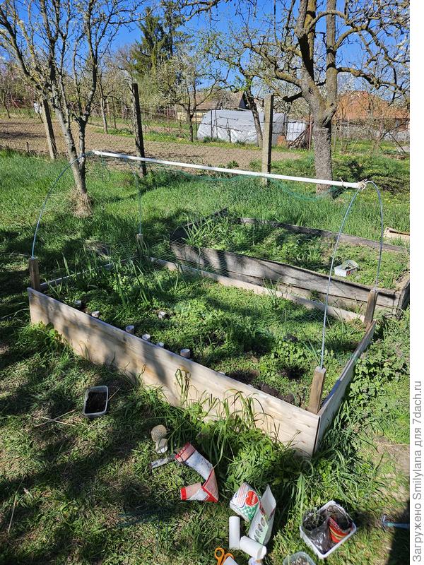 Вид на грядку