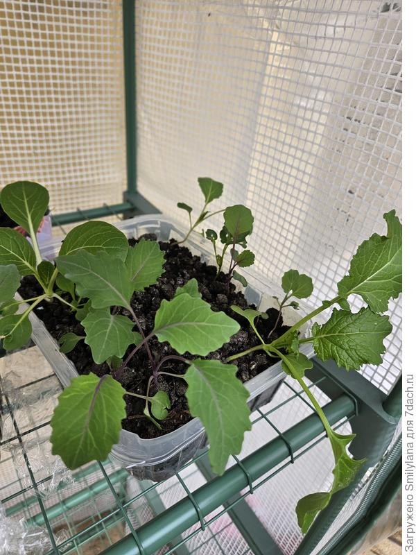 Вот так это всё выглядело.