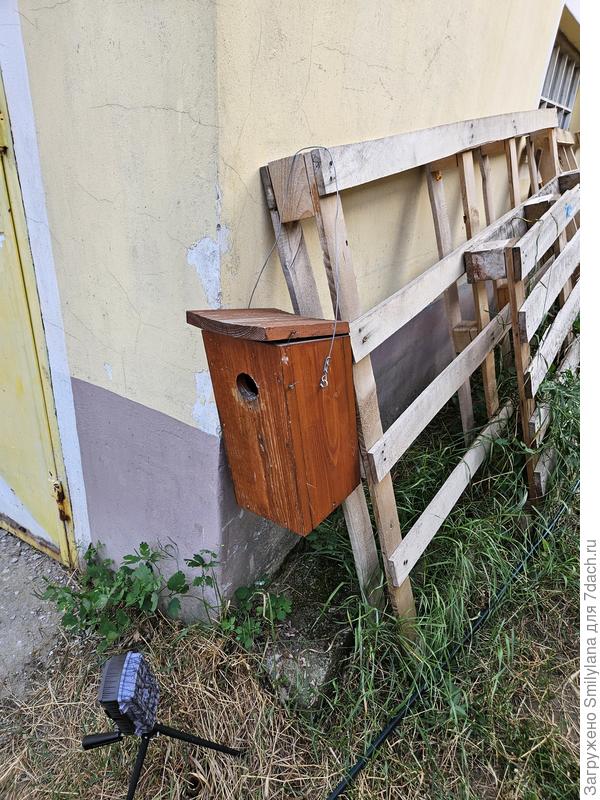 Птичий домик, пользующийся особой популярностью