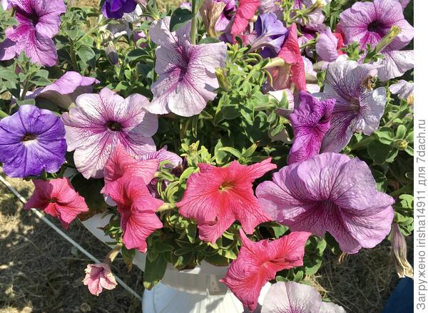 Превосходная цветовая гамма