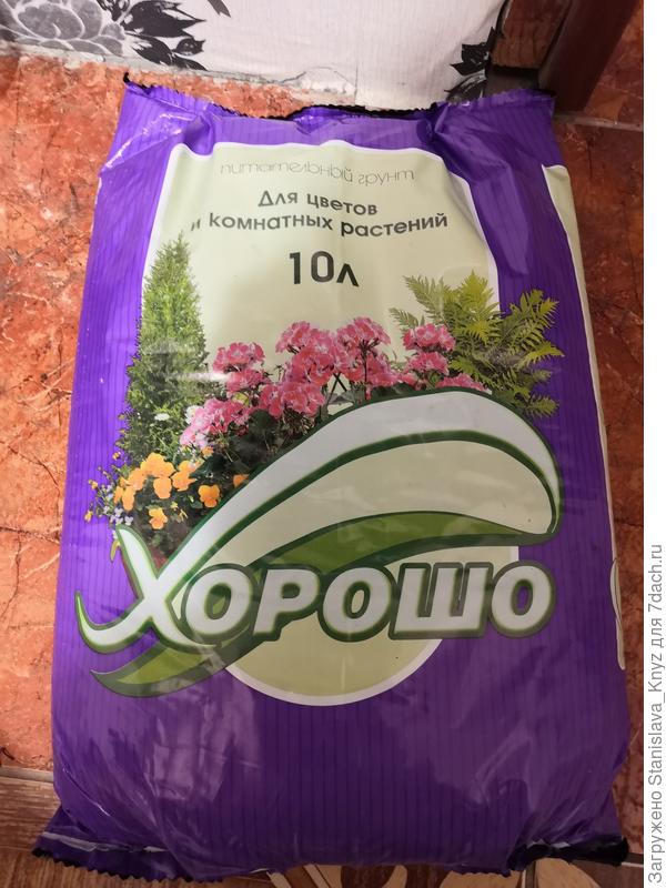 Вот грунт в который пересаживала