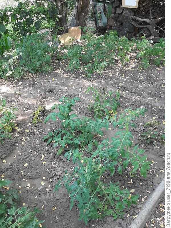 Ряды редееют