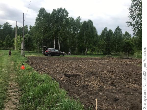 Вид с дороги (с восточной стороны участка)