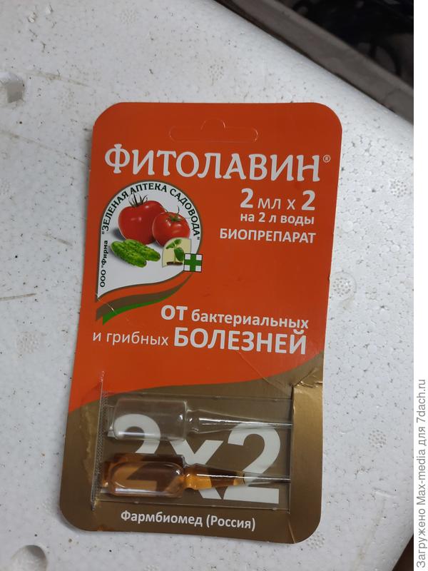 Что нибудь из этих пойдёт?