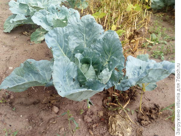 Конец августа