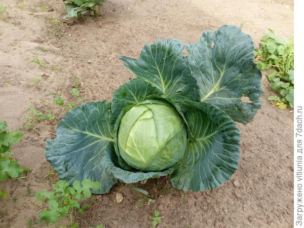 Конец сентября