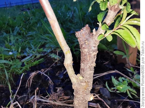 Тут крупнее