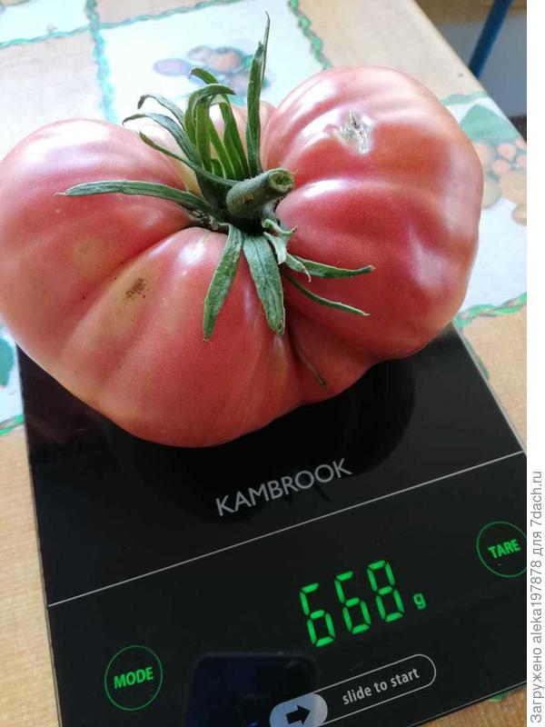 Такой малыш вырос.