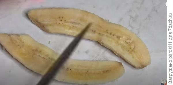 Семена банана