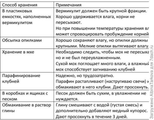 Способы хранения клубней георгины